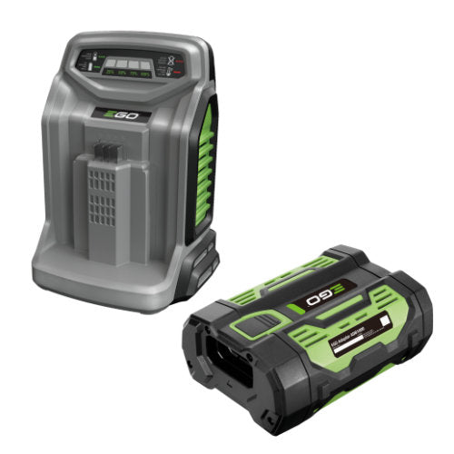 Batteries & Chargers