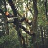 STIHL MSA 190 T Cordless Chainsaw – AP System (Tool Only) - Image 7