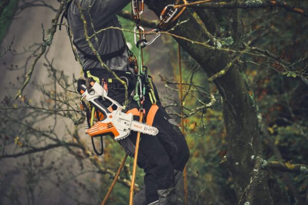 STIHL GTA 40 Cordless Pruner – AS System