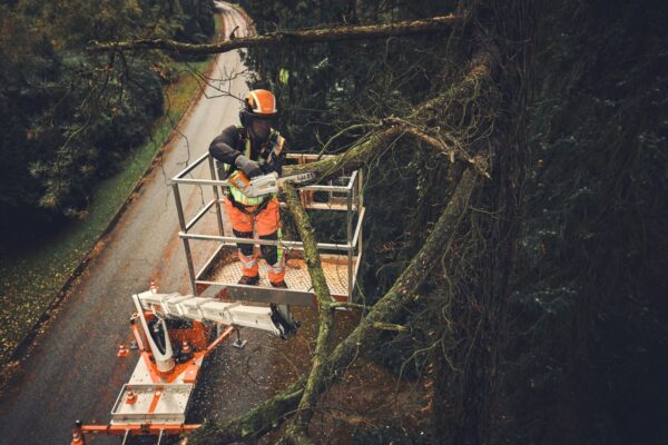 STIHL MSA 190 T Cordless Chainsaw – AP System (Tool Only)