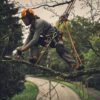 STIHL GTA 40 Cordless Pruner – AS System - Image 9