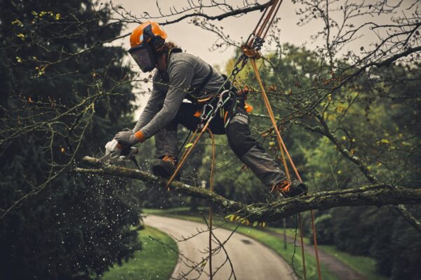 STIHL GTA 40 Cordless Pruner – AS System