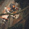 STIHL MSA 190 T Cordless Chainsaw – AP System (Tool Only) - Image 9