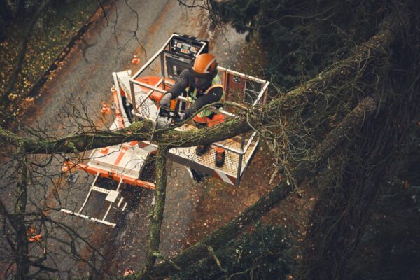 STIHL MSA 190 T Cordless Chainsaw – AP System (Tool Only)