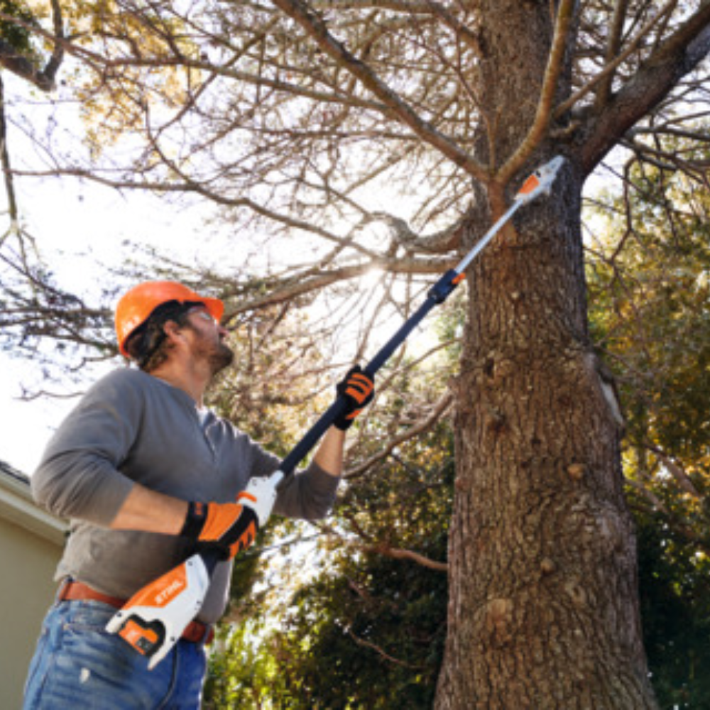 STIHL HTA 50 Cordless Pole Pruner