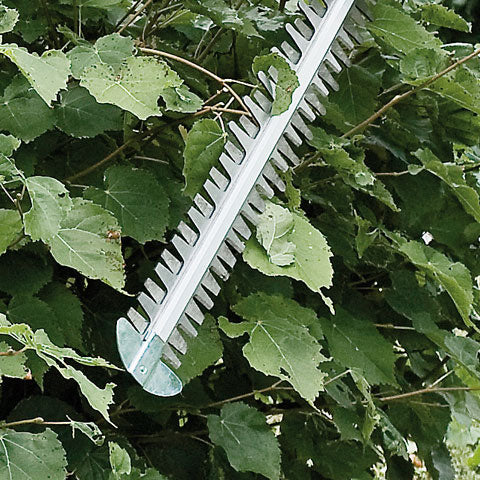STIHL HSA 100 Cordless Hedge Trimmer 60 cm / 24" Cutting Blade
