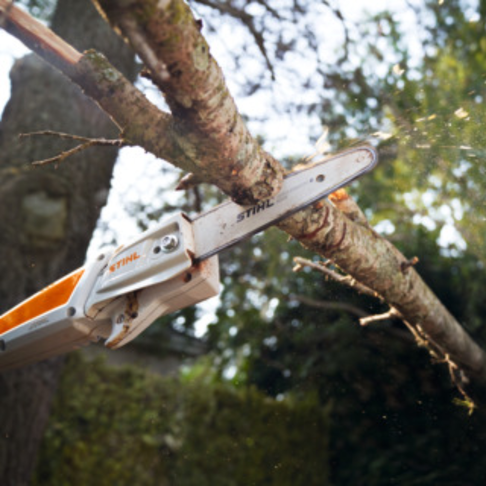 STIHL HTA 50 Cordless Pole Pruner