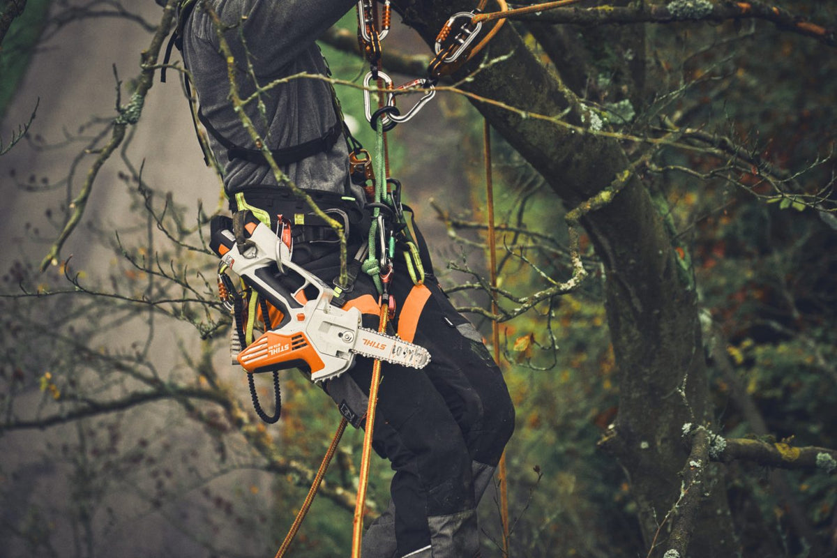 STIHL GTA 40 Cordless Pruner – AS System
