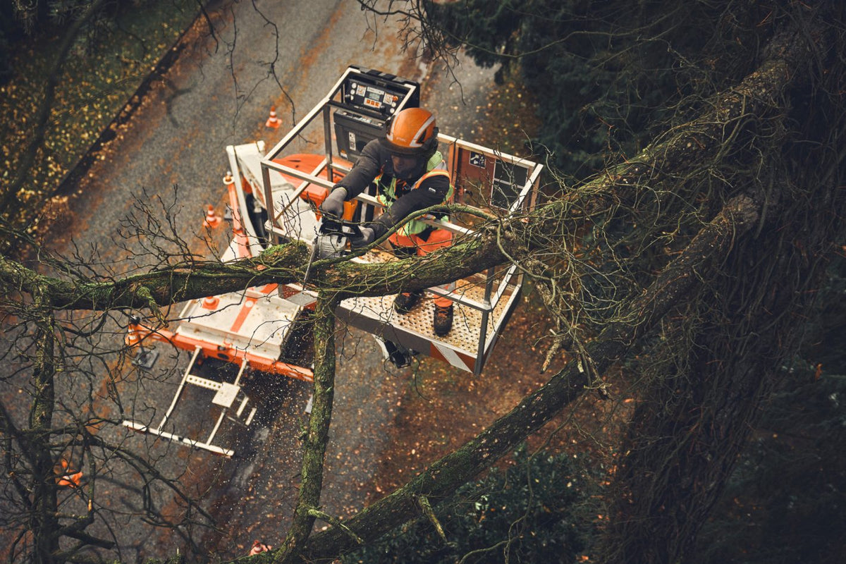 STIHL MSA 190 T Cordless Chainsaw – AP System (Tool Only)
