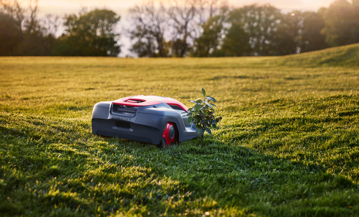 Cramer AiConic 8 Robotic RTK Mower
